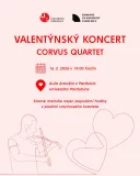 valentynsky-koncert130753.jpg
