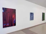 Tomáš Predka – Osa zlomu / Axis of fracture